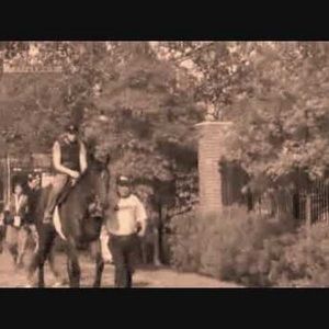 Meet your Posher, Josephine ann